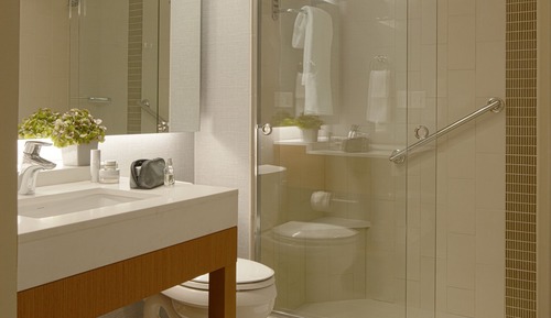 Suite, 1 King Bed, Accessible (Shower)
