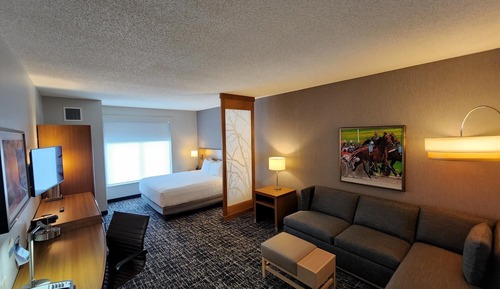 Room, 1 King Bed with Sofa bed