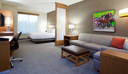 Room, 1 King Bed (Specialty)