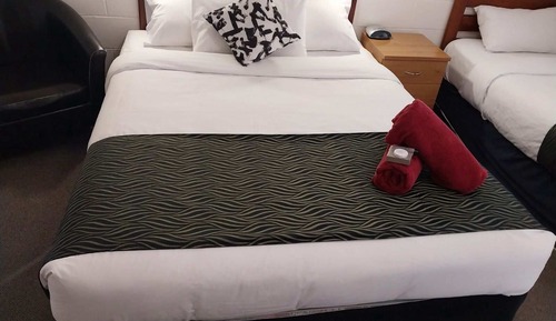 Standard Room (Twin)