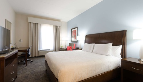 Room, 1 King Bed