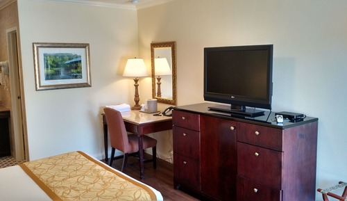 Deluxe Single Room, 1 King Bed, Refrigerator & Microwave, Mountain View, No Pets