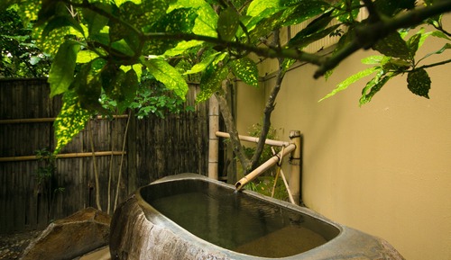 Superior Villa, Non Smoking (Seishinan)