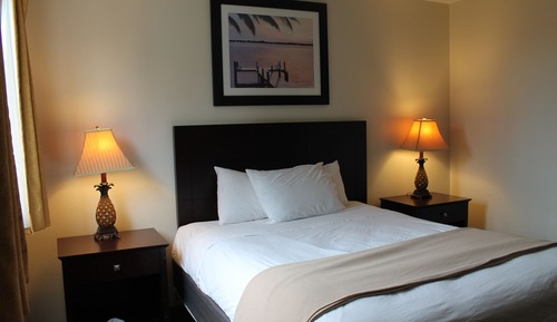 Single Room, 1 Queen Bed
