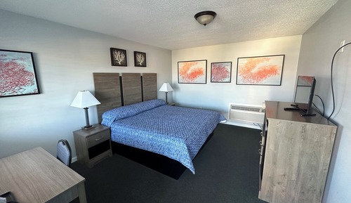 Room, 1 King Bed