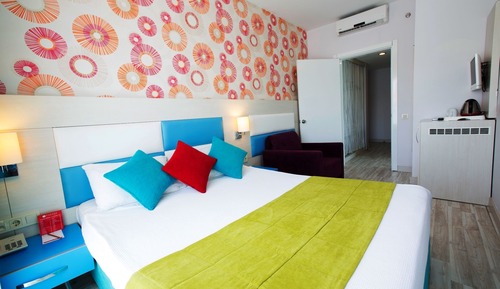Room, 1 King Bed, Non Smoking