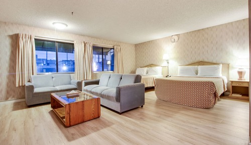 Standard Studio Suite
