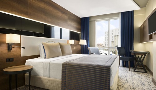 Room, 1 King Bed, Smoking