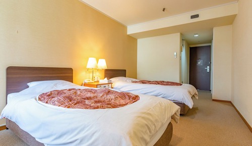 Standard Twin Room (Mountain side) - Indoor Bath - Non-Smoking