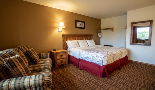Premium Room, 1 King Bed (No Pets)