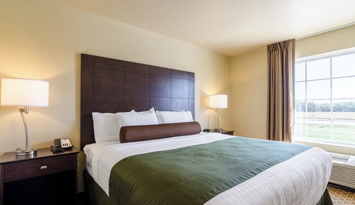 Standard Suite, 1 King Bed, Non Smoking