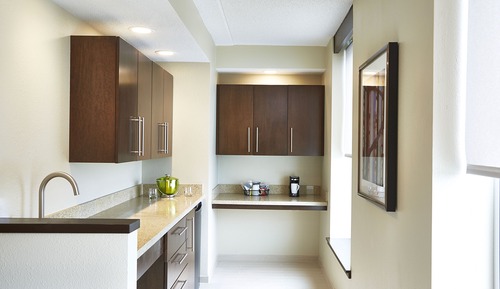 Suite, 1 King Bed, Accessible (Shower)