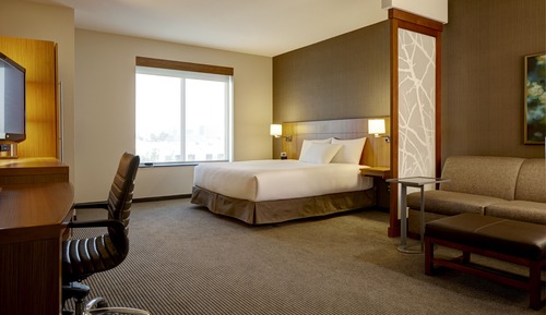 Room, 1 King Bed with Sofa bed, Accessible (Shower)
