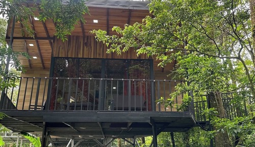 Romantic Tree House