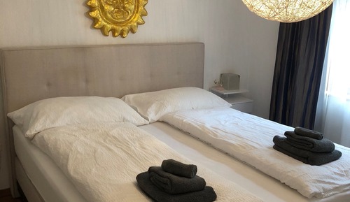 Comfort apartment, 1 bedroom plus 150 CHF cleaning fee on top of the rate