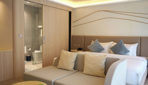 Deluxe Room (Plus)