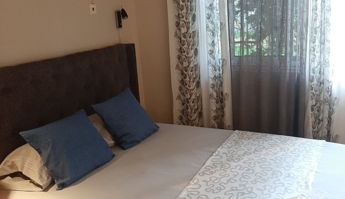 Basic Double or Twin Room