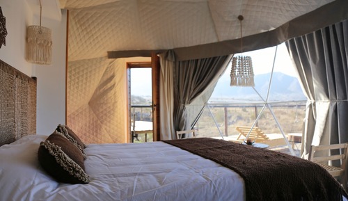 Design Tent