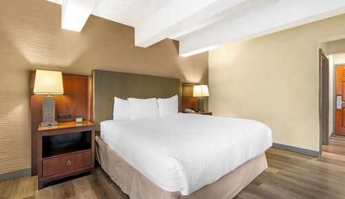 Standard Room, 1 King Bed