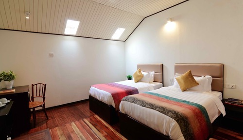 Swiftlet Gold Loft