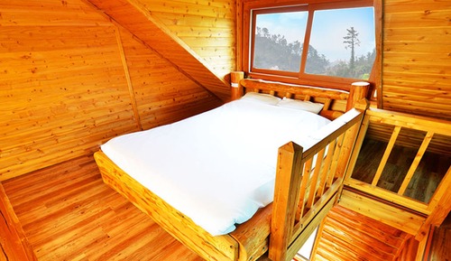 Duplex (20 PY)