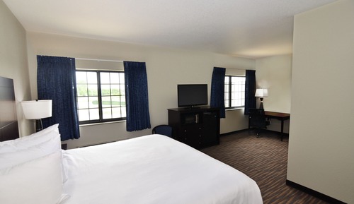 Executive Suite, 1 King Bed with Sofa bed, Non Smoking