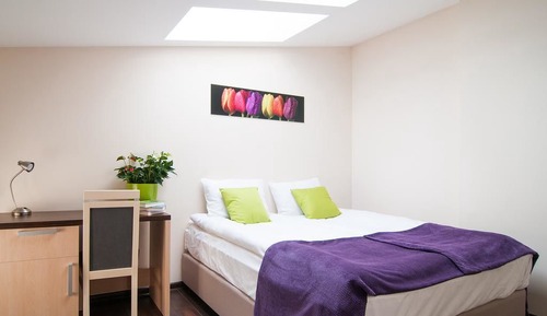 Comfort Apartment