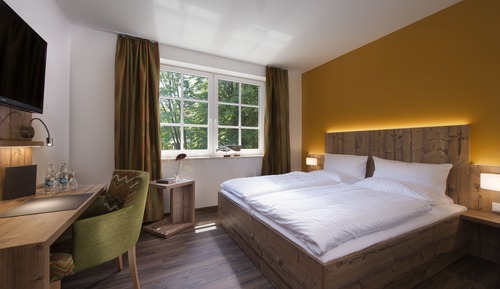 Standard Double Room, 1 Queen Bed