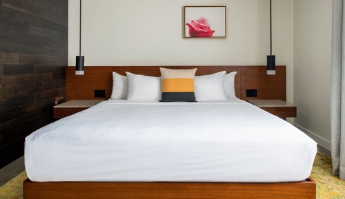 Room, 1 King Bed, Non Smoking