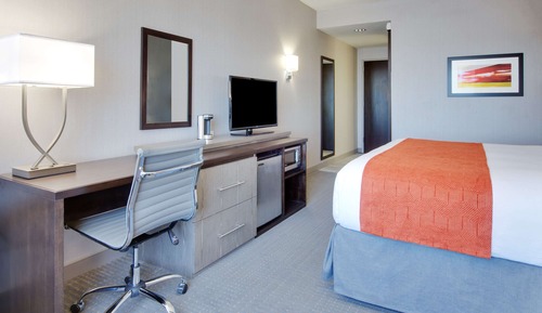 Room, 1 King Bed, Accessible, Non Smoking (Mobility,Hearing,Roll-In Shower)