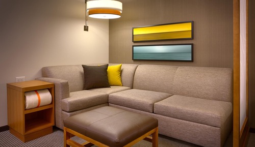Room, 1 King Bed with Sofa bed