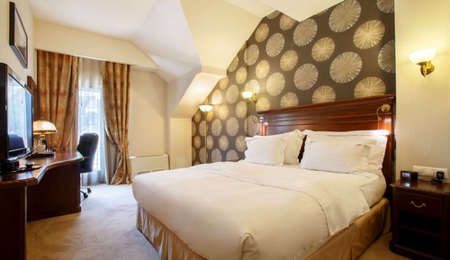 Room, 1 King Bed (Citadel View)