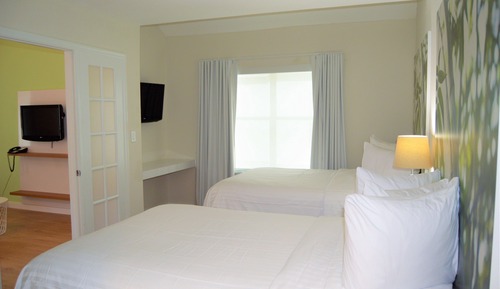 Executive Suite, 1 Bedroom, Kitchen