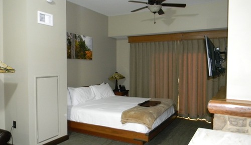 Room, 1 King Bed with Sofa bed