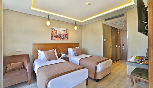 Standard Double or Twin Room