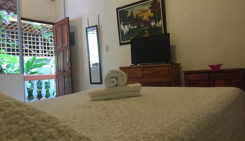 Standard Double Room, 1 King Bed