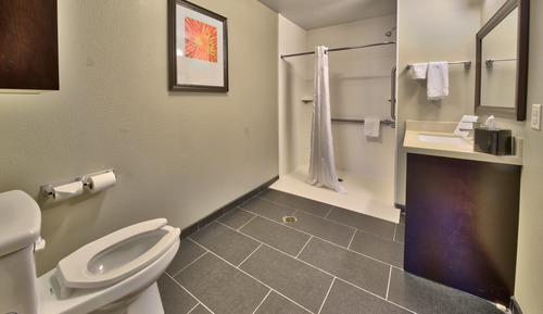 Studio Suite, 1 King Bed, Accessible, Kitchen (Hearing, Roll-In Shower)