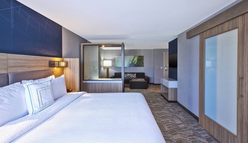 Suite, 1 King Bed with Sofa bed, Non Smoking (Mobility/Hearing Access, Roll-In Shwr)
