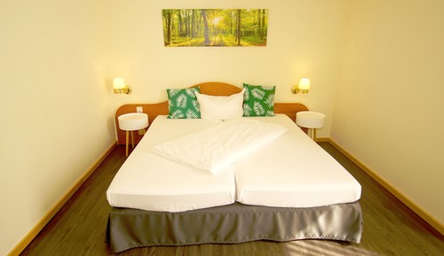 Classic Double Room