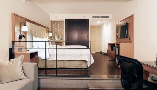 Room, 1 King Bed