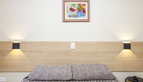 Basic Double Room