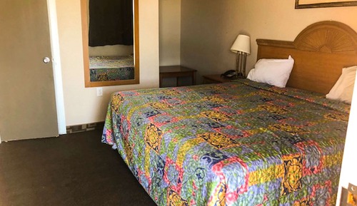 Room, 1 King Bed, Non Smoking, Refrigerator & Microwave (Small Pets Allowed)