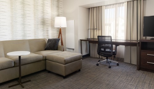 Suite, 1 King Bed with Sofa bed