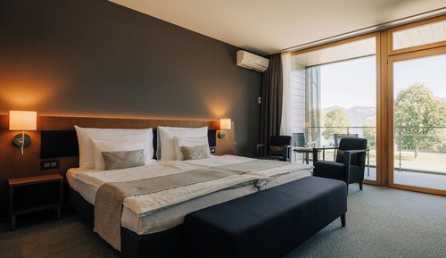 Premium Mountain View Double Room (with bathtub)