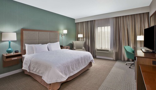 Room, 1 King Bed, Accessible, Non Smoking (Roll In Shower)