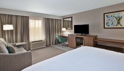 Room, 1 King Bed with Sofa bed, Non Smoking, Refrigerator & Microwave