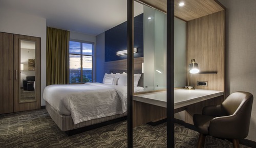 Suite, 1 King Bed with Sofa bed
