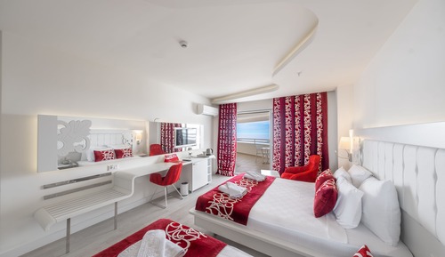 Standard Double or Twin Room, Mountain View