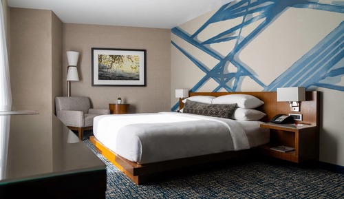 Room, 1 King Bed