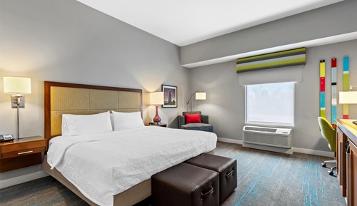 Room, 1 King Bed, Accessible, Non Smoking (Roll-in Shower)